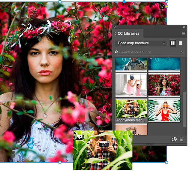 Recursos de Adobe Stock