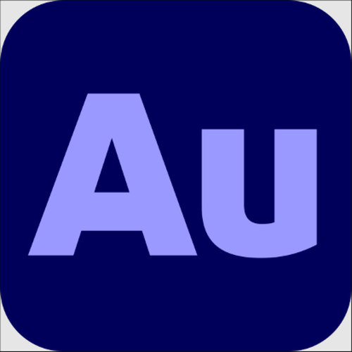 Audition para equipos 1 usuario 1 año suscripción